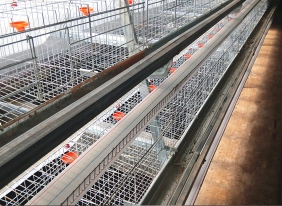 山西蛋鸡养殖饮水系统